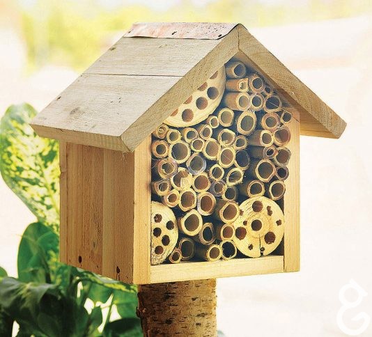 Envirohub original bee hotel flower seeds for bees