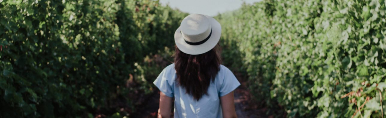 Bay of Plenty Garden and Art Festival