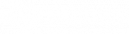 logo Acorn Foundation