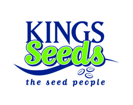 King Seeds 